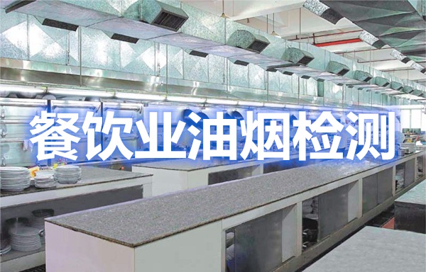 上海環境檢測咨詢服務有限公司