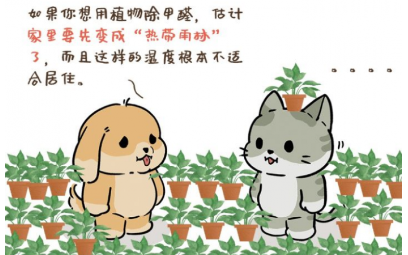 辦公室的甲醛檢測和除甲醛方法